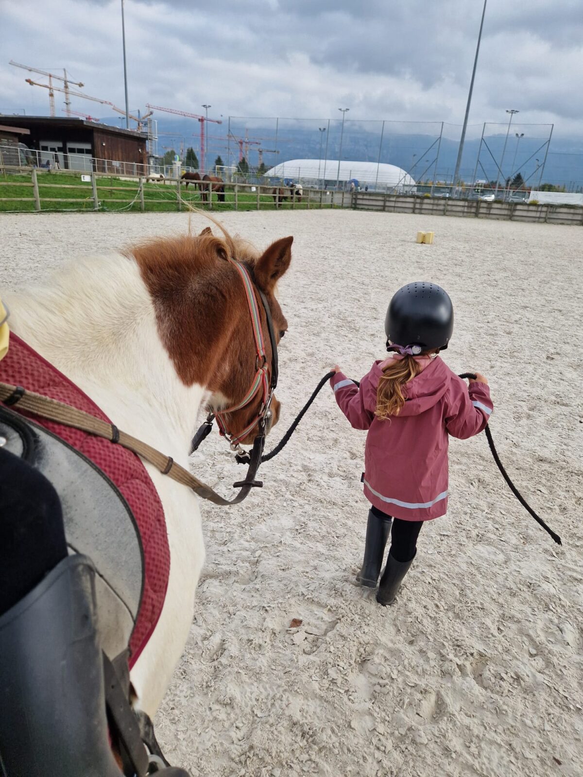 Carrière petite aux reines